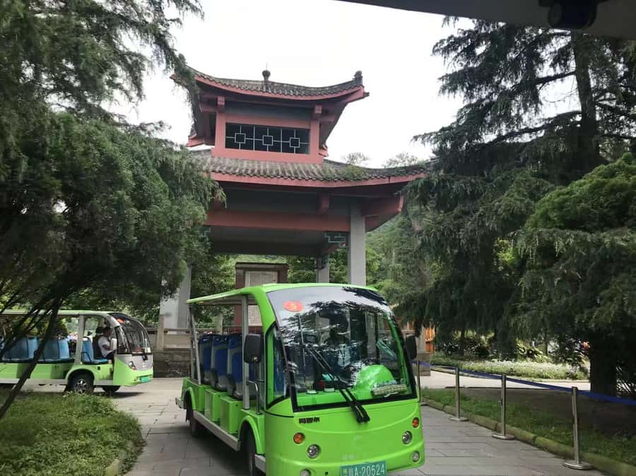 1-Day Mount Qingcheng and Dujiangyan Irrigation System Tour - Who should book this experience