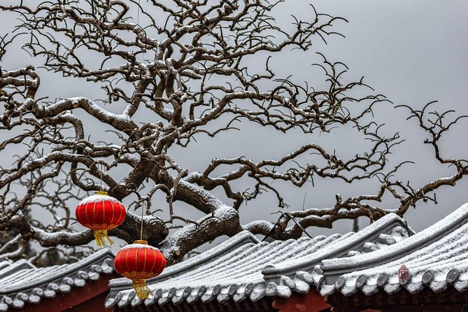 4-Hour Private Forbidden City Walking Tour with Bird's ViewOption - Tiananmen Square in 30 minutes