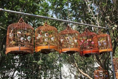 6-Hour Private Beijing Tour: Flower and Fish Market, Panjiayuan Antique Market and 798 Art Zone