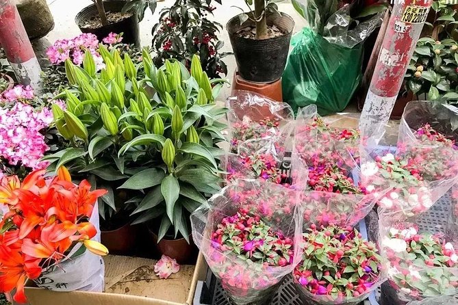 6-Hour Private Beijing Tour: Flower and Fish Market, Panjiayuan Antique Market and 798 Art Zone - What the guide adds to the price