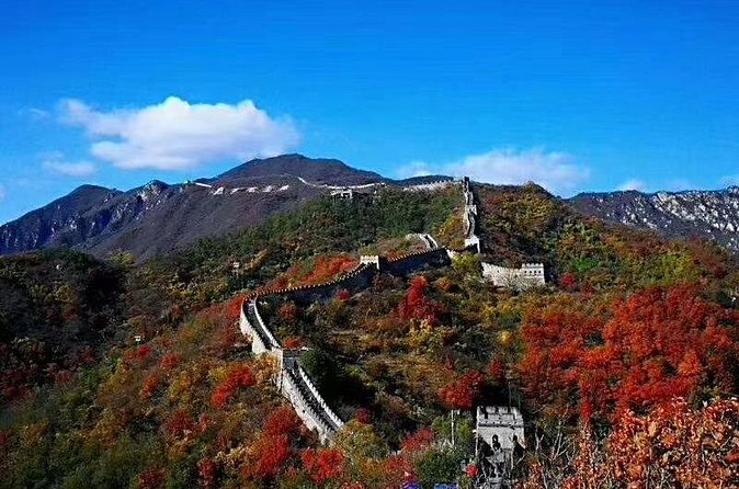 All-inclusive Mutianyu Wall and Forbidden City Private Tour - Who should book this Beijing day trip