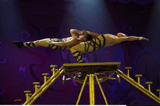 Beijing Acrobatic Show in Red Theater with Guide and Transfer - What I would ask before booking