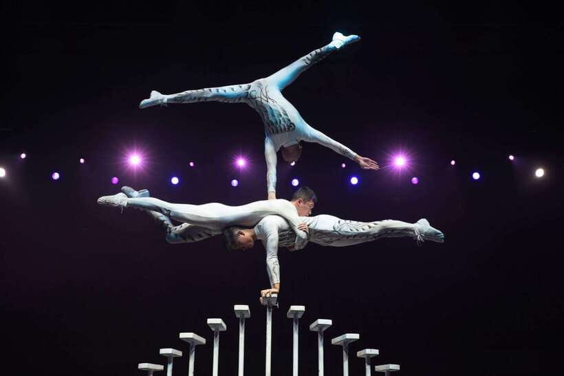 Beijing: Acrobatic Show Tickets Traditional & Modern Fusion - Who will enjoy this show most?