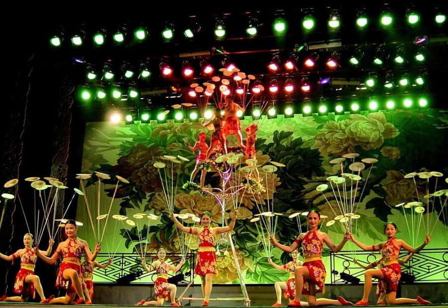 Beijing: Acrobatic Show with Peking Duck Dinner Private Tour - Which kind of visitor will enjoy this most