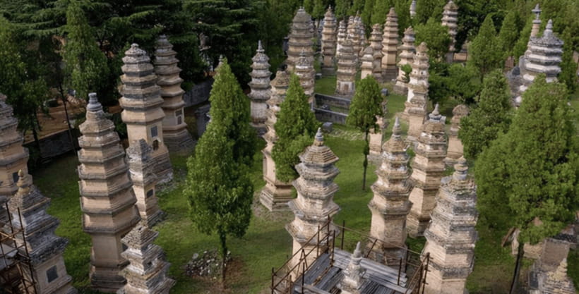 Beijing:Bullet Train Day Tour to Shaolin Temple&Martial Arts - The kung fu theater comes first