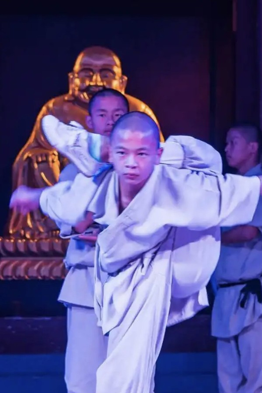 Beijing:Bullet Train Day Tour to Shaolin Temple&Martial Arts - The Pagoda Forest is the visual high point
