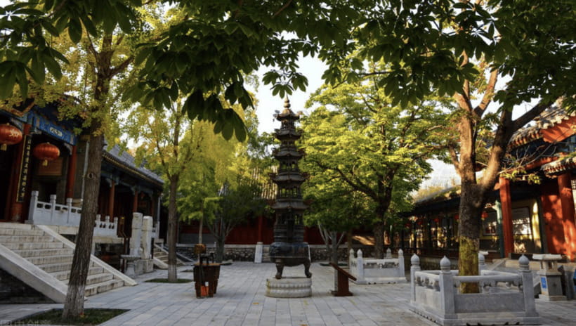 Beijing:Bullet Train Day Tour to Shaolin Temple&Martial Arts - Is $348 good value for this route?