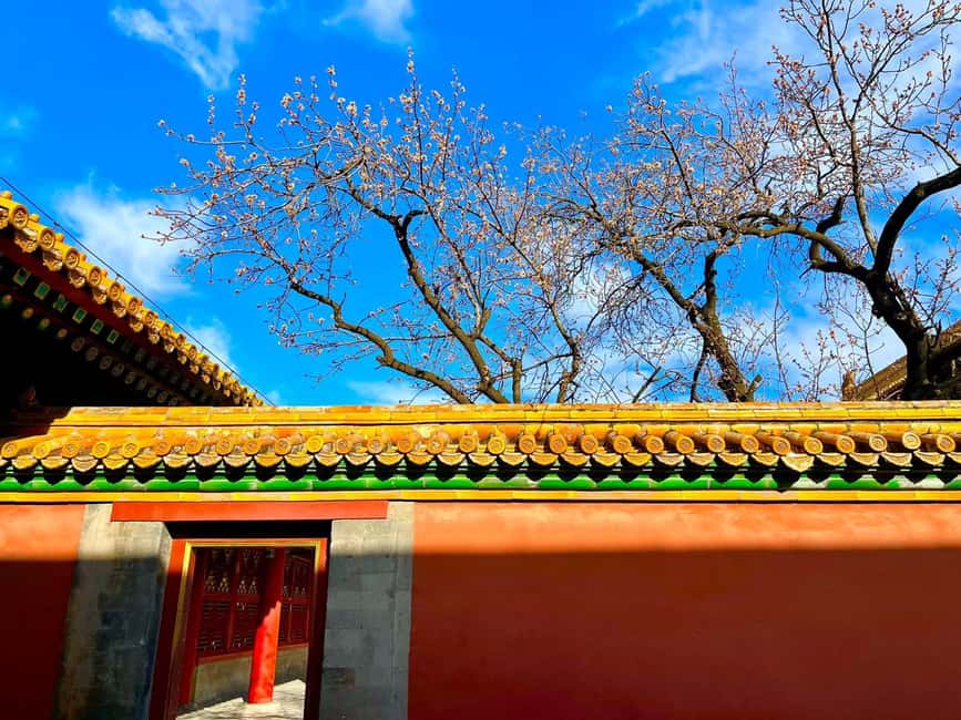 Beijing:Forbidden City--Reveal Secrets Behind Red Walls - Who gets the best value from this tour