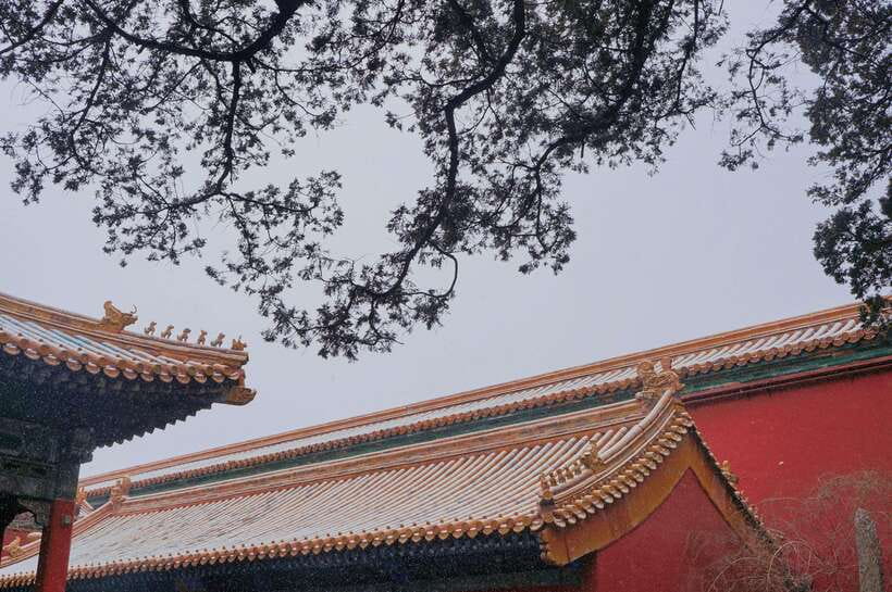 Beijing:Forbidden City & Tian'anmen Square with entry ticket - Walking, weather, and what to bring