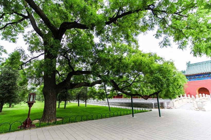Beijing:Forbidden City Tour—Temple, Summer Palace&Great Wall - The practical drawbacks to consider