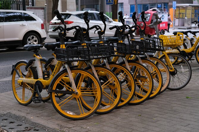 Beijing Highlights-Private Beijing Bike Tour - Wangfujing, Donghuamen, and the snack break