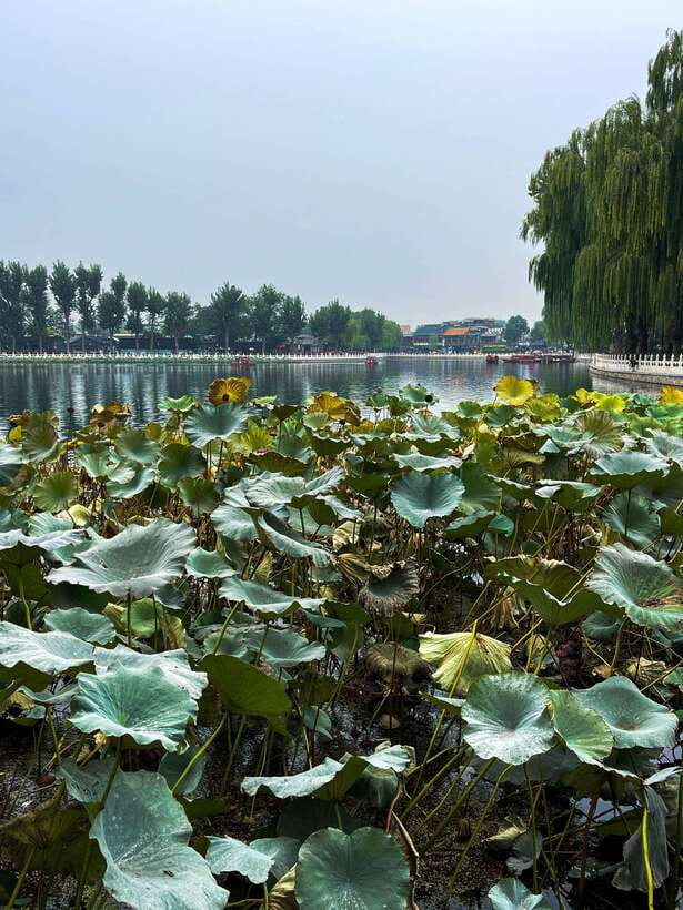 Beijing: Hutongs & Drum Tower City Walking Tour - Yandai Byway and a useful snack break
