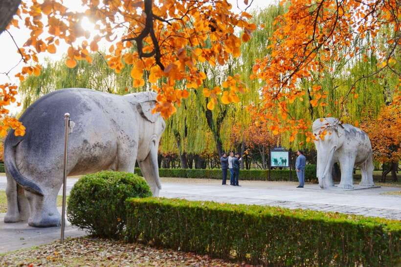 Beijing: Juyongguan Great Wall, Sacred Way & Ming Tombs Trip - Choosing between the three packages
