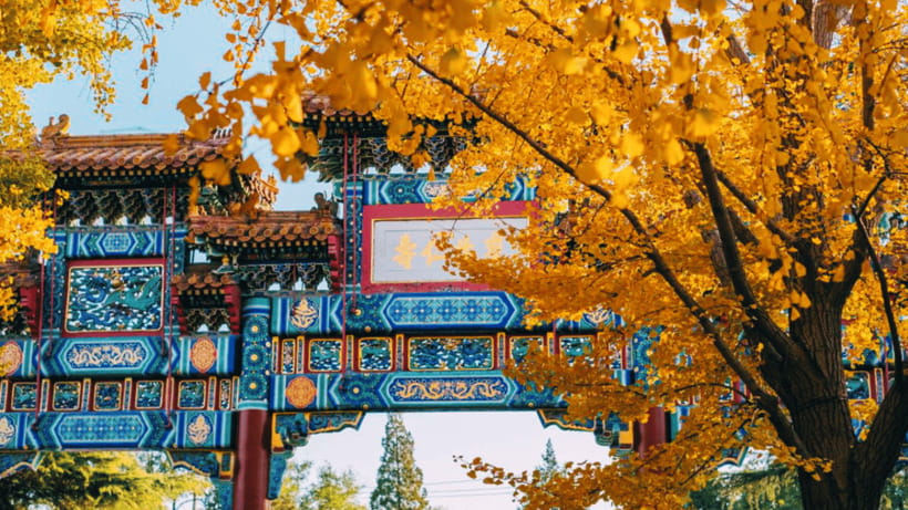 Beijing: Lama Temple (Yonghe Temple) Admission Ticket - A living place of prayer, not just a sight