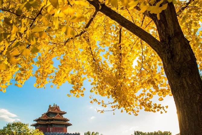 Beijing Layover Tour to Tiananmen Square and Forbidden City - Is $180 a Fair Price?