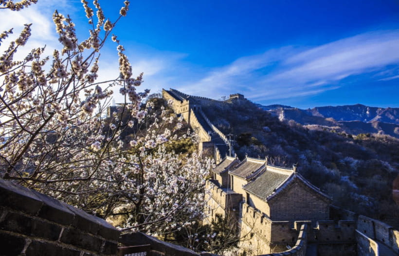 Beijing Mutianyu Great Wall&ForbiddenCity All Inclusive Tour - Should You Book It?