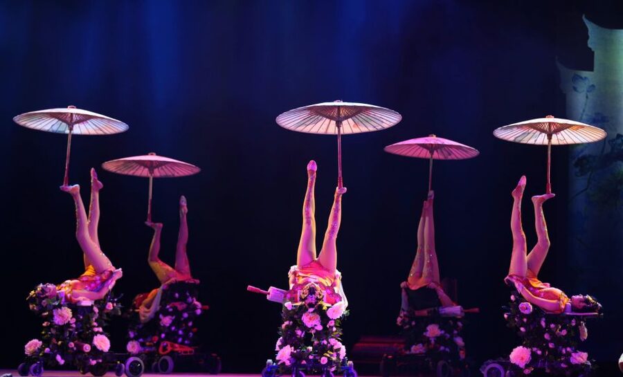 Beijing Night Tour with Acrobatics Show & PekingDuck Dinner - Why private transport matters after dark