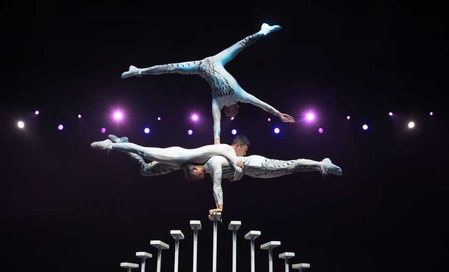 Beijing Night Tour with Acrobatics Show & PekingDuck Dinner - Who will get the most from this evening