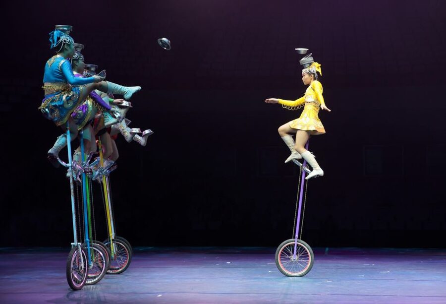 Beijing Night Tour with Acrobatics Show & PekingDuck Dinner - Should you book this Beijing night tour?