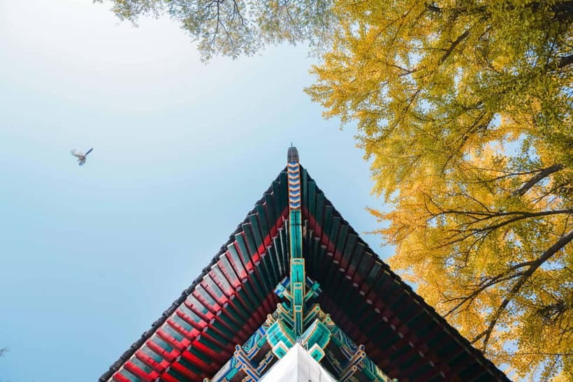 Beijing: Peking University Campus Guided Walking Tour - Student life, famous alumni, and the human side of PKU