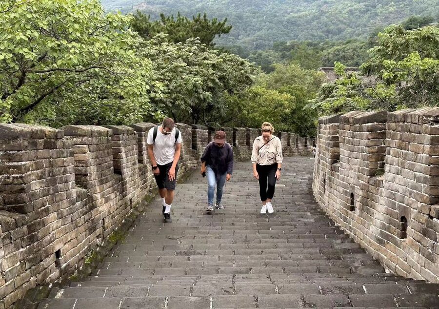 Beijing Private Custom Tour: Licensed Guide&Transfer Service - Price, inclusions, and the real value