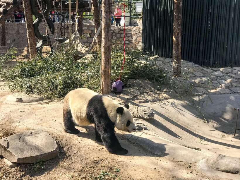 Beijing:Summer Palace Private/Group Tour or book Ticket Only - Key points to know before booking