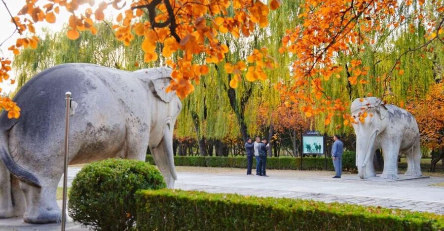 Beijing: Summer Palace, Sacred Road&Ming Tombs Private Tour - Choosing Dingling and its underground palace