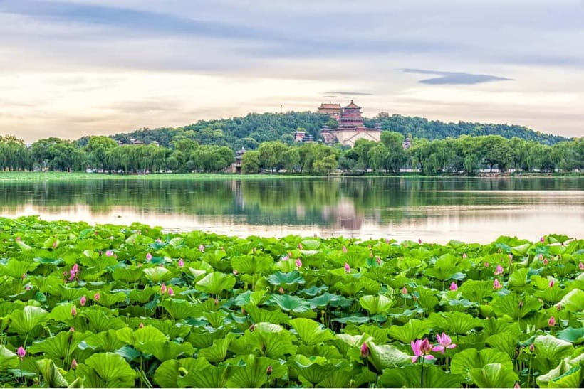 Beijing：Summer Palace & Tea or Calligraphy Experience Tour - What the $162 price really buys