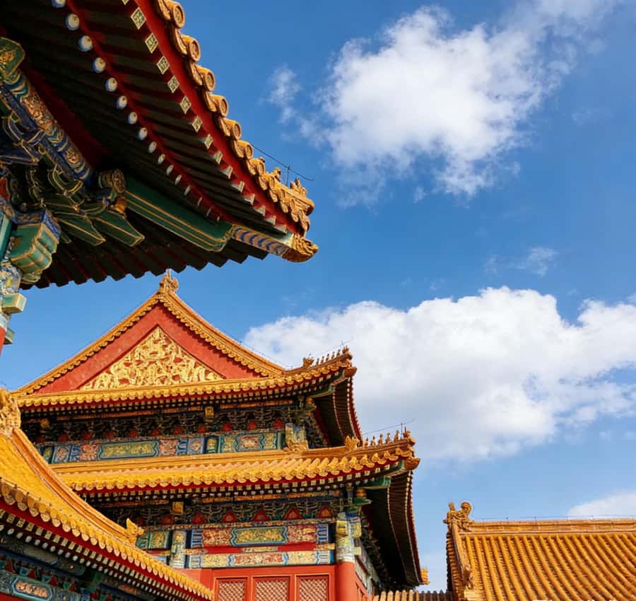 Beijing: Temple of Heaven and Forbidden City Private Tour - Lunch and the value of local guidance