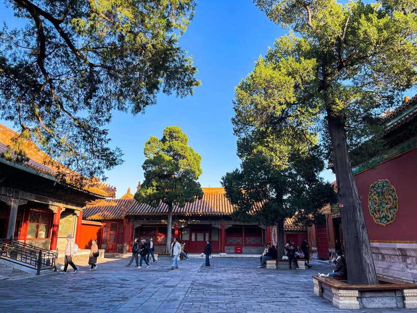 Beijing:Temple of Heaven+Forbidden City Private City Tour - A local Beijing lunch with a short menu