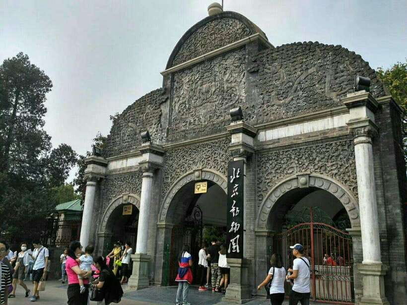 Beijing: The Beijing Zoo Entry Ticket with Pandas - Why the pandas make this $6 visit worthwhile