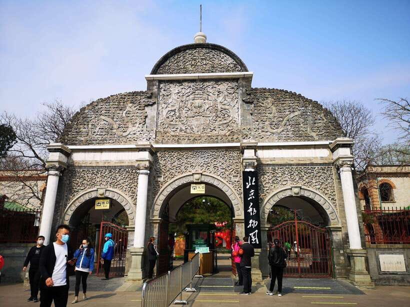 Beijing: The Beijing Zoo Entry Ticket with Pandas - The QR code detail that can save you time