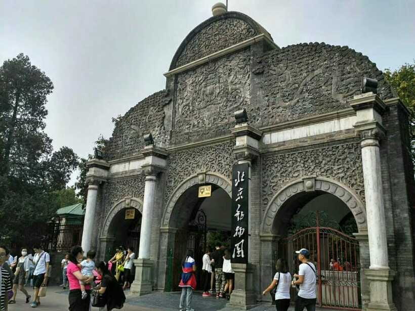 Beijing: The Beijing Zoo Entry Ticket with Pandas - Animal exhibits, food, and extra attractions