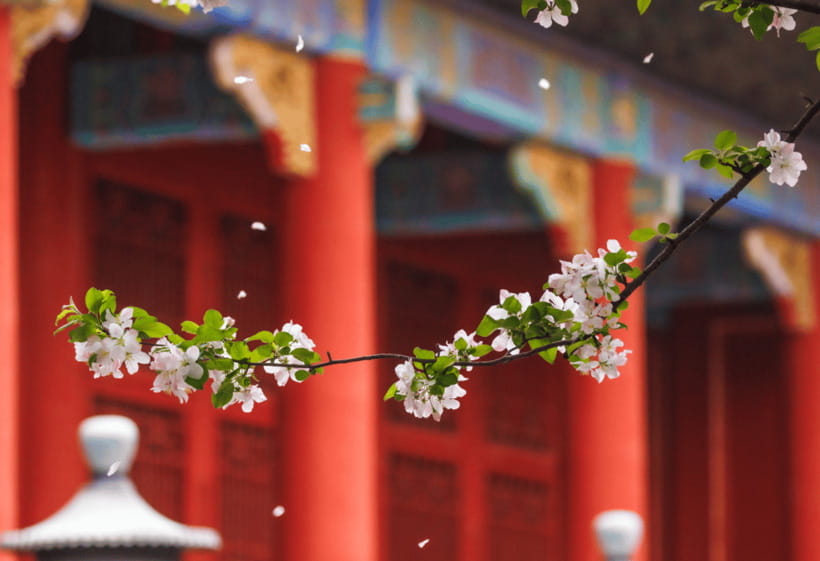 Beijing: Tiananmen Square and Forbidden City Entry Tickets - The Mutianyu Great Wall combination