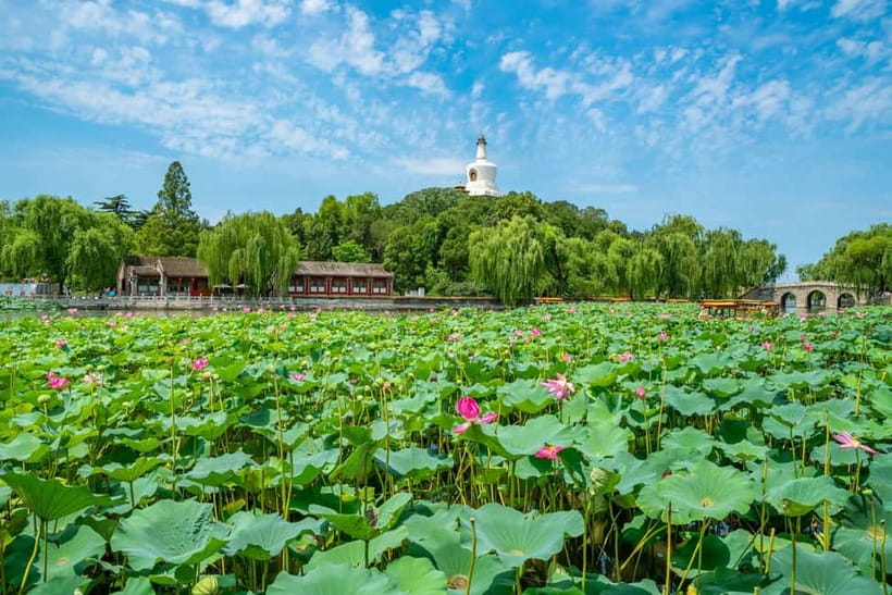Beijing: Tiananmen Square & Forbidden City Tickets & Tours - Panda House: a family-friendly private combination