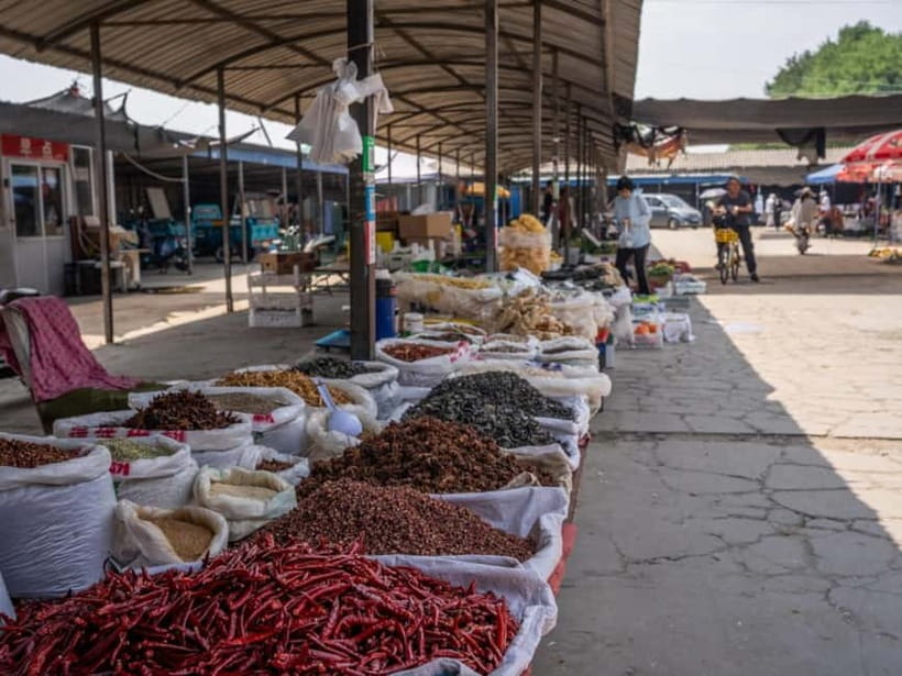 Beijing: Vegan Home Cooking & Local Market Tour with Sanxia - Why this cooking class feels more personal
