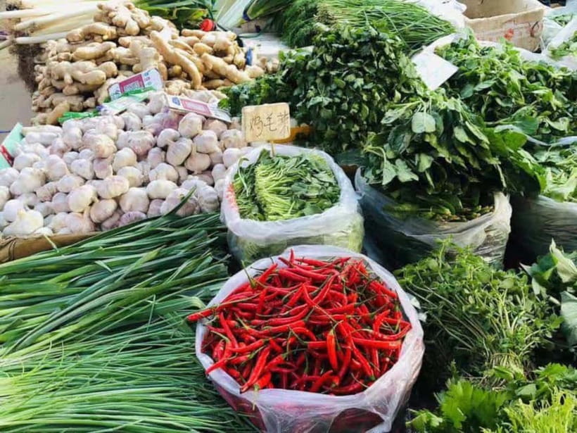 Beijing: Vegan Home Cooking & Local Market Tour with Sanxia - Making dumplings, buns, noodles, and seasonal dishes