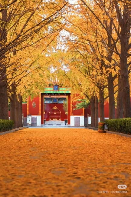 Beijing: Yonghe Lama Temple Tickets with guide (optional) - Getting There by Beijing Metro Line 5