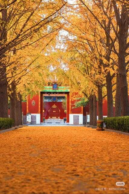 Beijing: Yonghe Lama Temple Tickets with guide (optional) - Is the Optional English Guide Worth It?