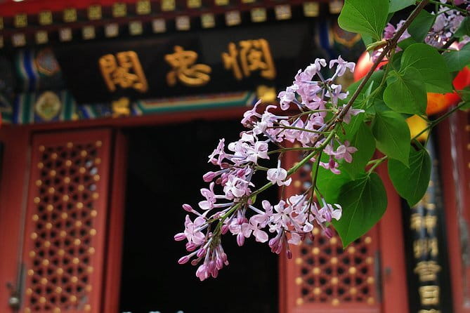 BusDa-Full-Day Bus Trips: Mutianyu, Summer & Old Summer Palaces - Guides and the human side of the trip