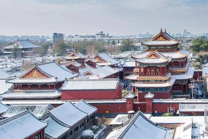Dim Sum Breakfast&Tailored Beijing Highlights Tour-Pick Your Spot - Taking dim sum to the Great Wall