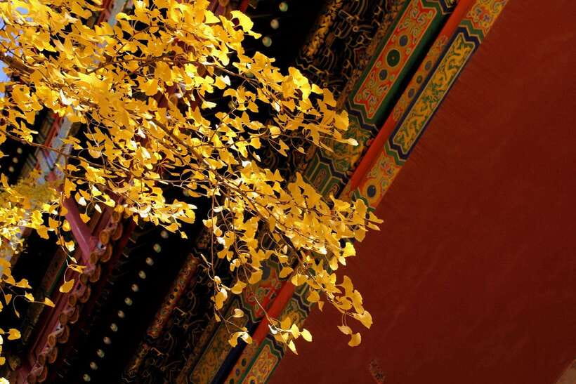 Forbidden City Of Beijing Tickets Booking And Other Option - What you see inside the palace complex