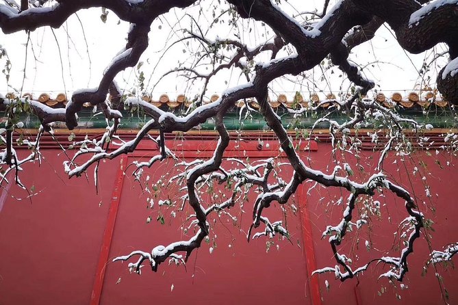 Half Day Beijing Group Tour to Tiananmen Square and Forbidden City - Entering the Forbidden City and following the imperial route