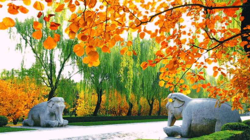 Ming Tombs Admission Ticket - Transport is the main practical challenge