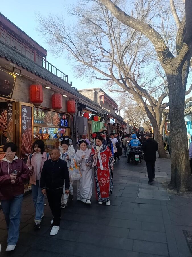 Mutianyu Great Wall And Gubei Watertown Private Day Tour - Driver, guide, and communication details