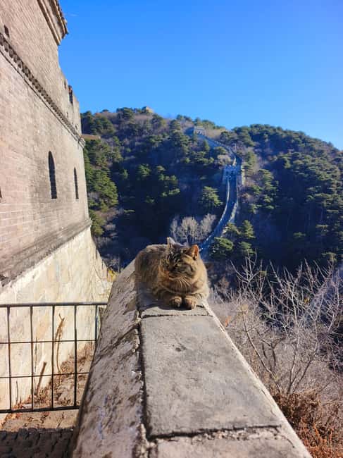 Mutianyu Great Wall Private Tour with English Driver - Three hours on the wall
