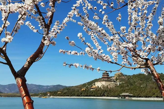 Private Beijing 3-Day Tour - A Private Way to Cover Beijing’s Big Sights