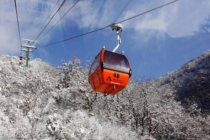 Private Day Tour to Beijing Mutianyu Great Wall - Is $188 per person a fair price?