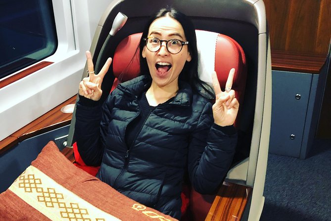 Private Day Trip to Terracotta Army from Beijing by Bullet Train - What the $299 price really covers