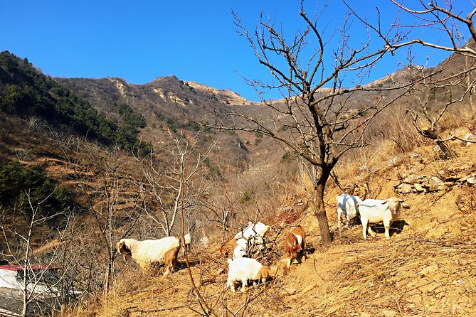 Private Great Wall Hiking Tour: Across The Border of 3 China Provinces - The 20-minute walk to a mountain village